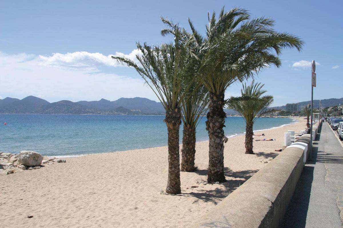 Maisonnette Studio Bas Suquet, Proche Plage Et Palais Канны Экстерьер фото